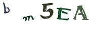 Enter the Captcha code from the image