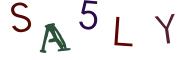 Recopier le code Captcha de l'image