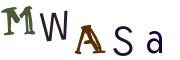 Recopier le code Captcha de l'image